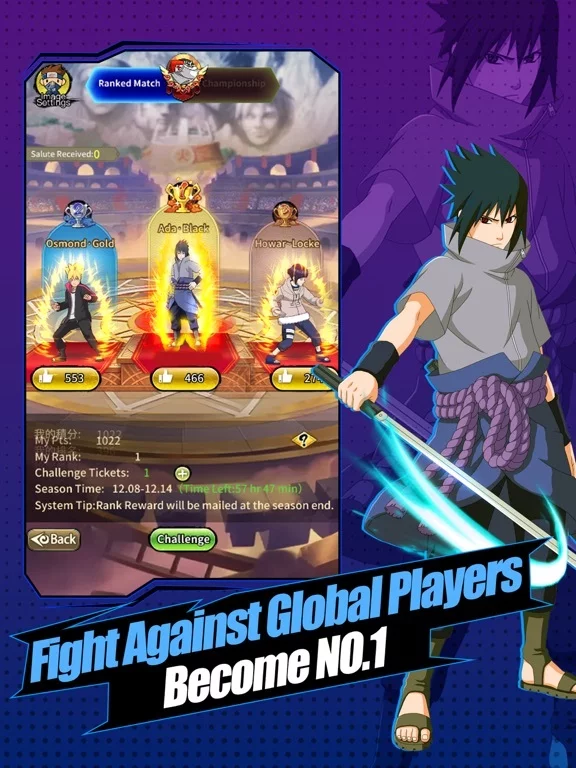 Изображение игры: Rise of Ninjia