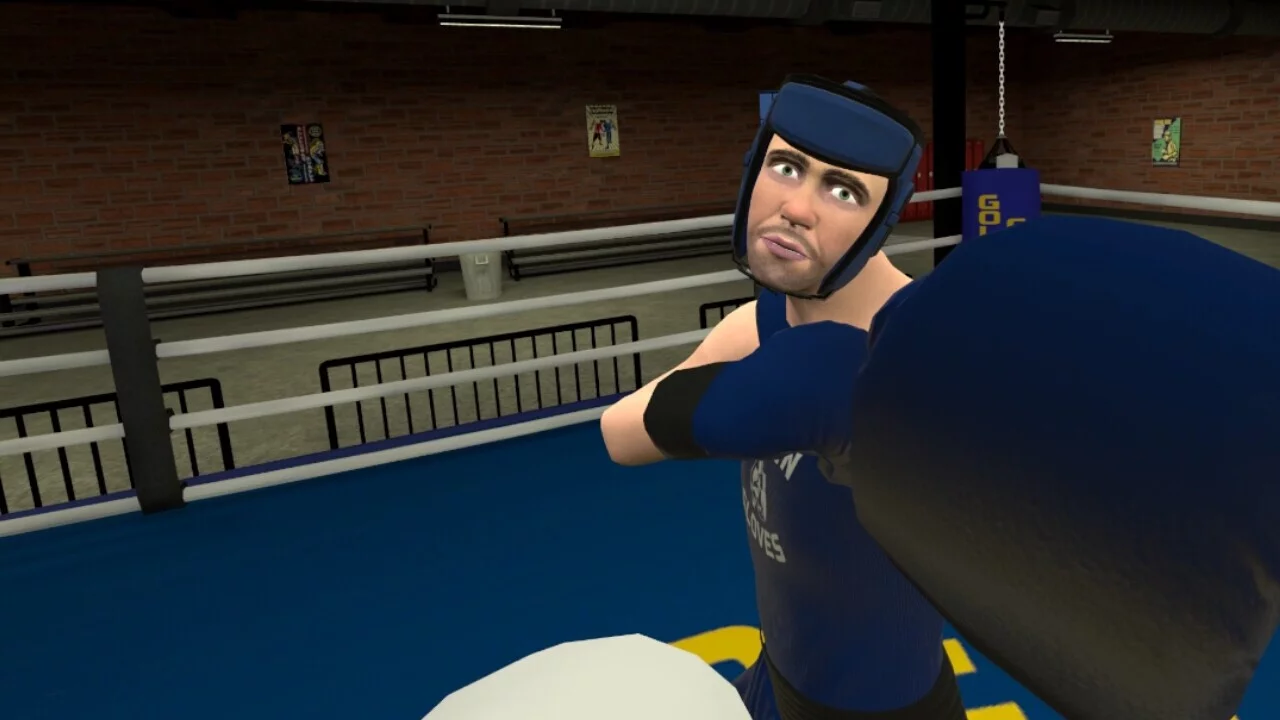 Изображение игры: Golden Gloves VR