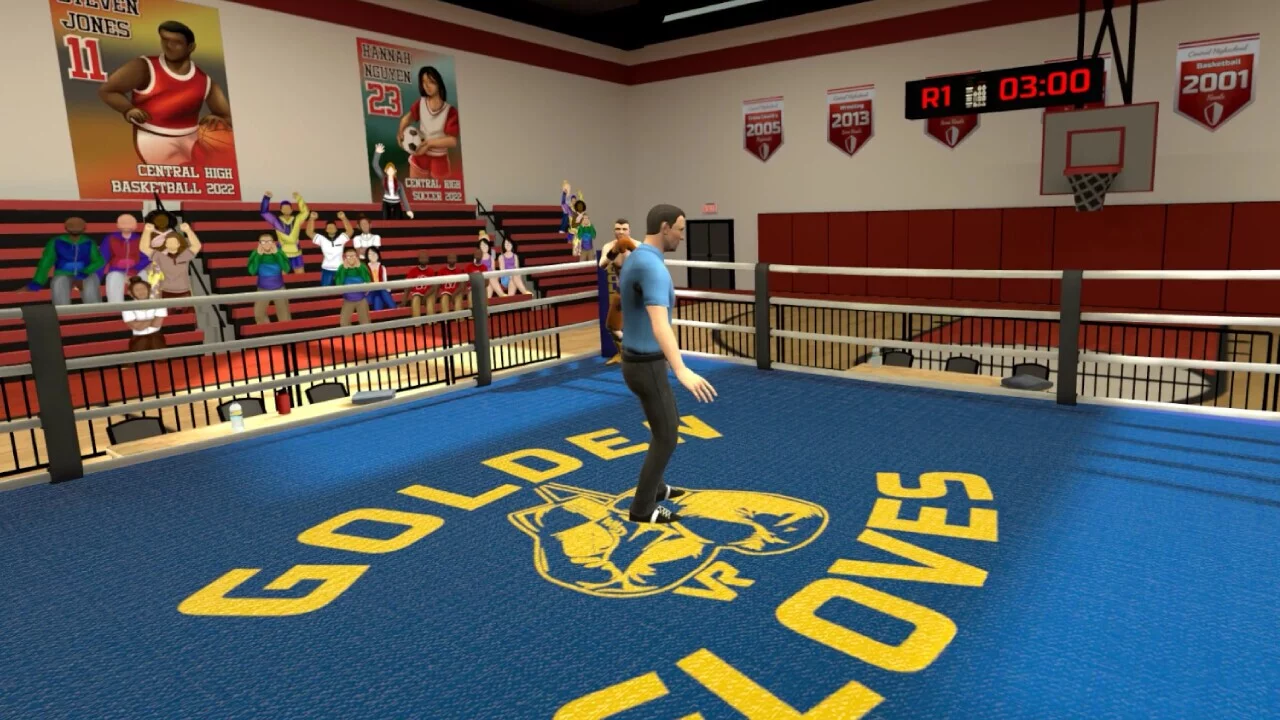 Изображение игры: Golden Gloves VR