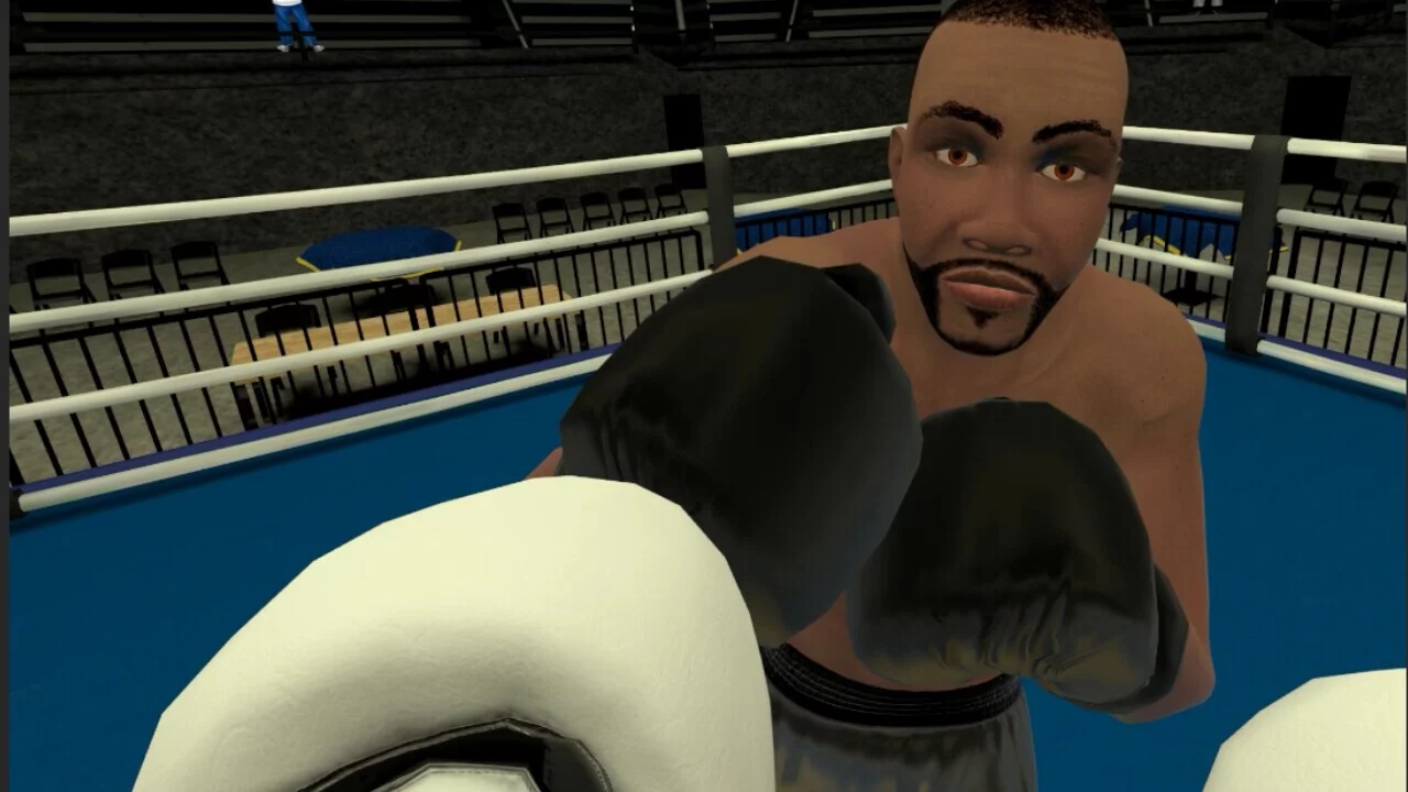 Изображение игры: Golden Gloves VR