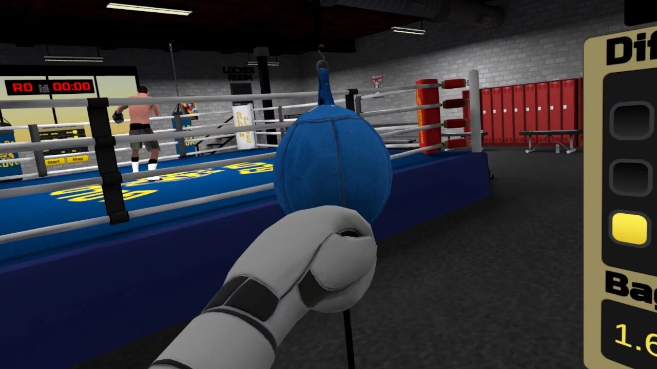 Изображение игры: Golden Gloves VR