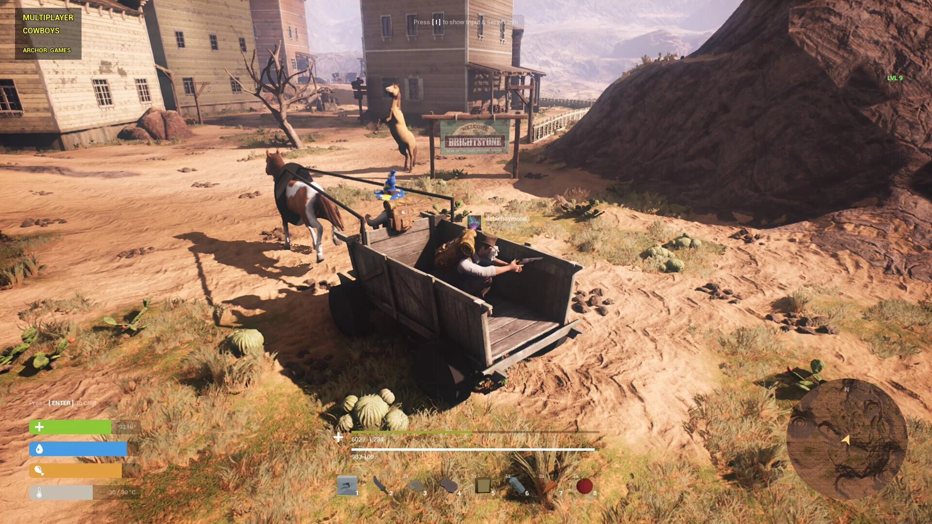Изображение игры: Multiplayer Cowboys