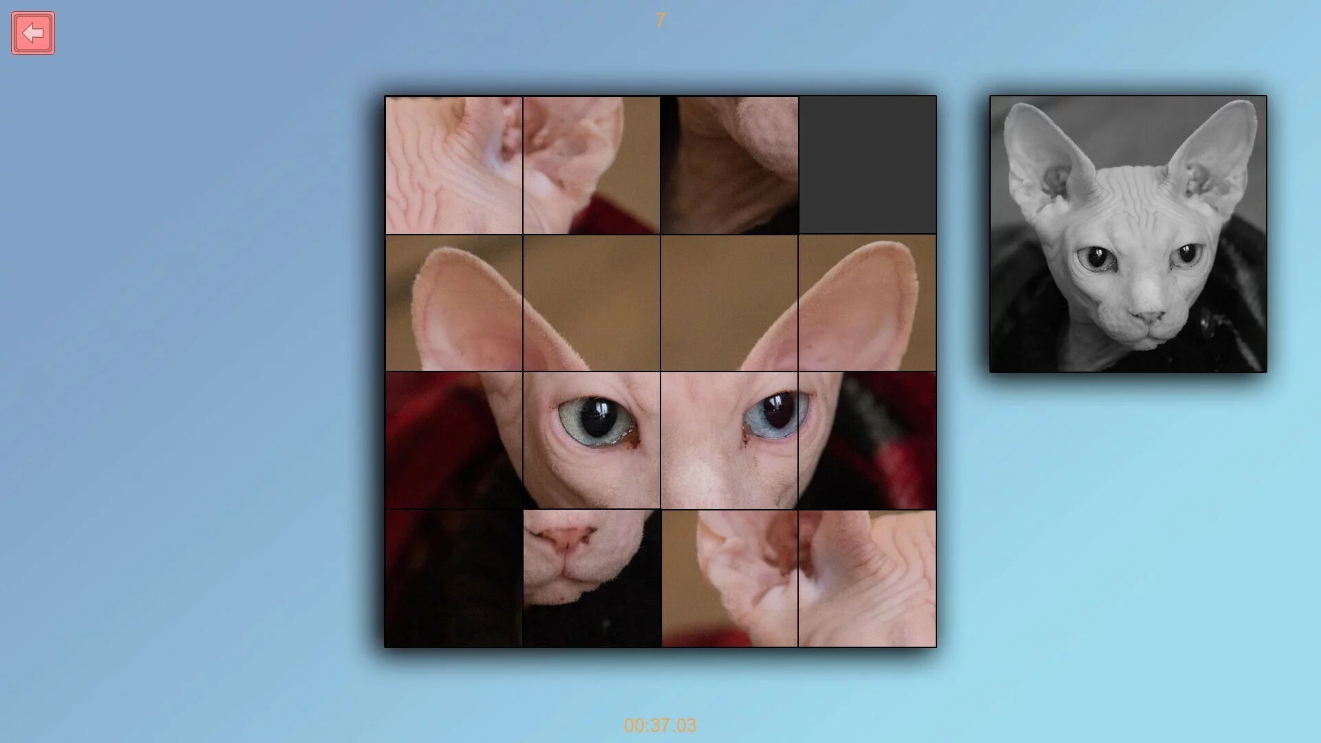 Изображение игры: TitTok Kitty