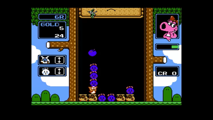 Изображение игры: Wario's Woods