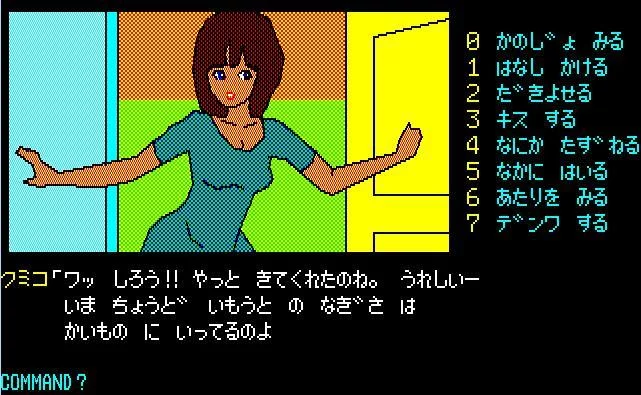 Изображение игры: The Karuizawa Kidnapping Guide