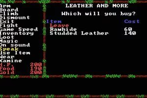 Изображение игры: Questron II