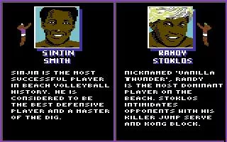Изображение игры: Kings of the Beach