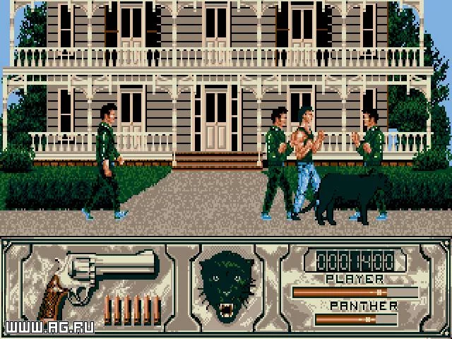 Изображение игры: Wild Streets