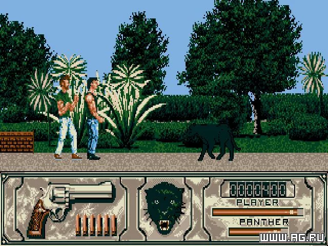 Изображение игры: Wild Streets