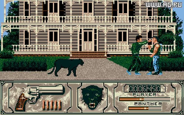 Изображение игры: Wild Streets