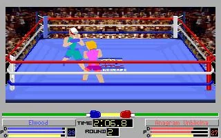 Изображение игры: 4D Sports Boxing