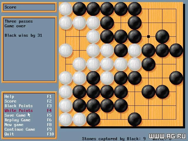 Изображение игры: Go Simulator