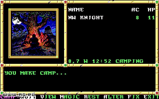 Изображение игры: Neverwinter Nights (1991)