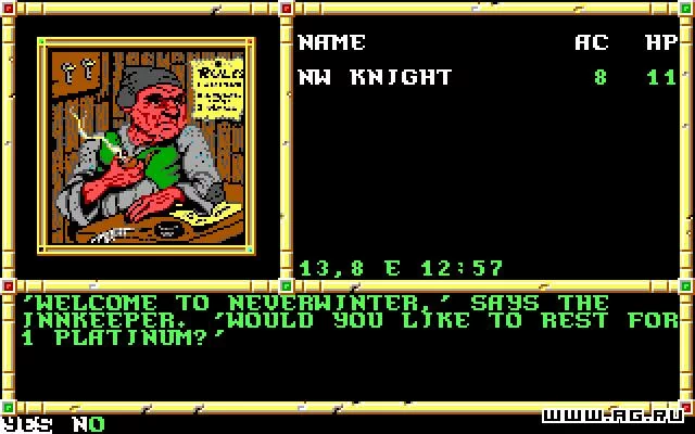 Изображение игры: Neverwinter Nights (1991)