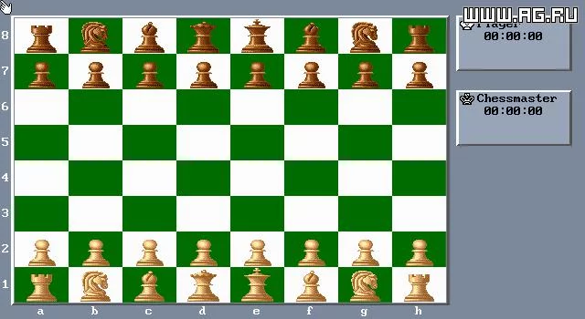Изображение игры: The Chessmaster 3000