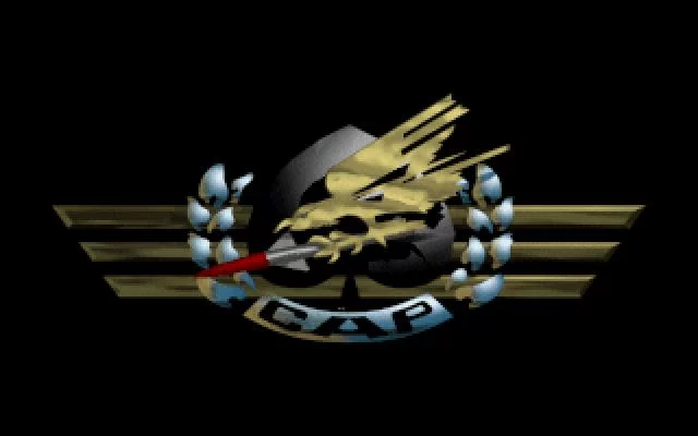 Изображение игры: Combat Air Patrol (1993)