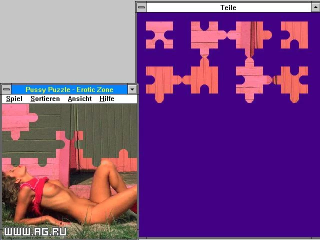 Изображение игры: Erotic Zone: Pussy Puzzle