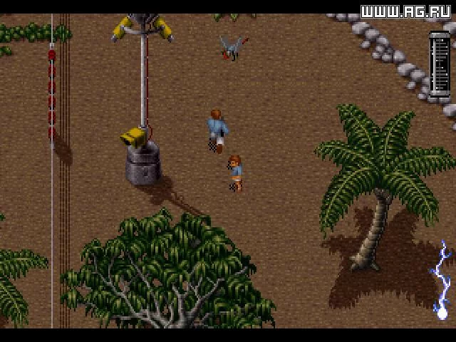 Изображение игры: Jurassic Park (1993)