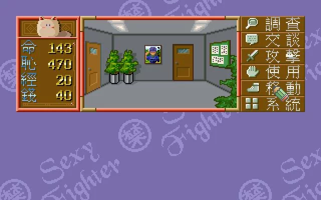 Изображение игры: Sexy Fighter