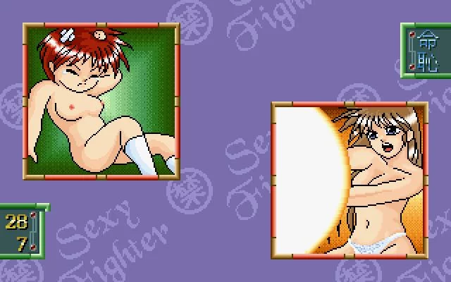 Изображение игры: Sexy Fighter