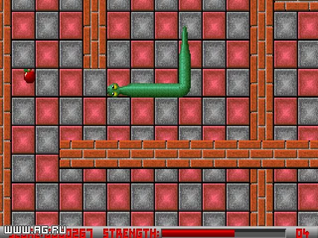 Изображение игры: Snaker