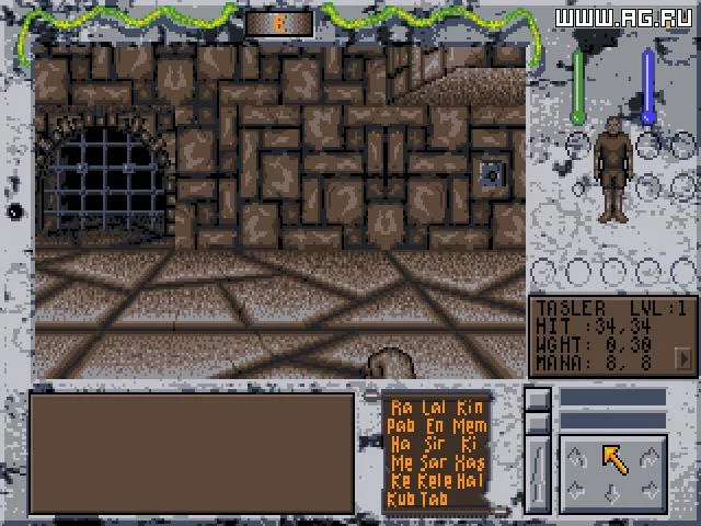 Изображение игры: Towers: Lord Baniff's Deceit