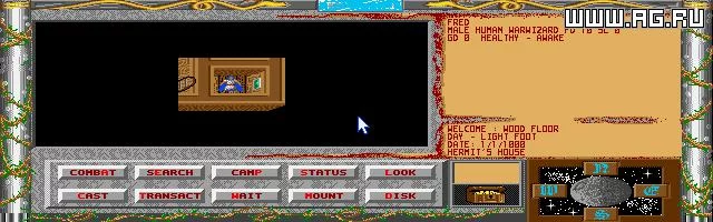 Изображение игры: WarWizard
