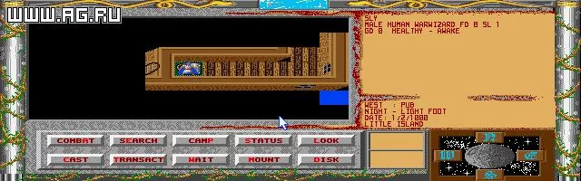Изображение игры: WarWizard