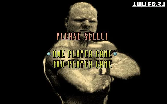 Изображение игры: Body Slam All-Star Wrestling