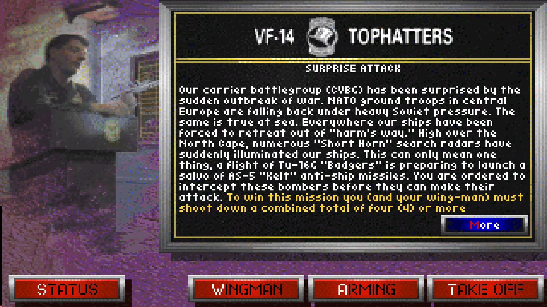Изображение игры: Fleet Defender: The F-14 Tomcat Simulation
