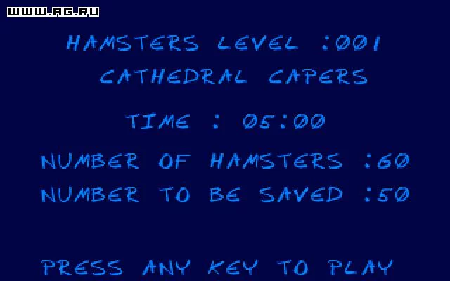 Изображение игры: Hamsters