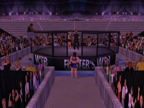 Изображение игры: Weekend Warriors MMA