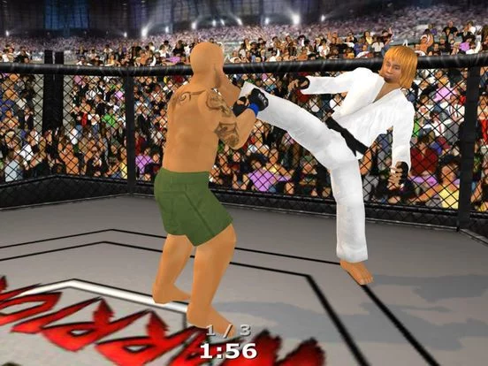 Изображение игры: Weekend Warriors MMA