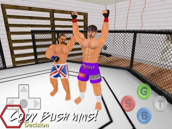 Изображение игры: Weekend Warriors MMA