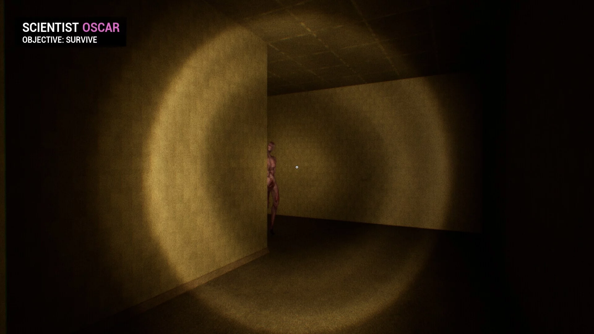 Изображение игры: BACKROOMS: APPREHENSION