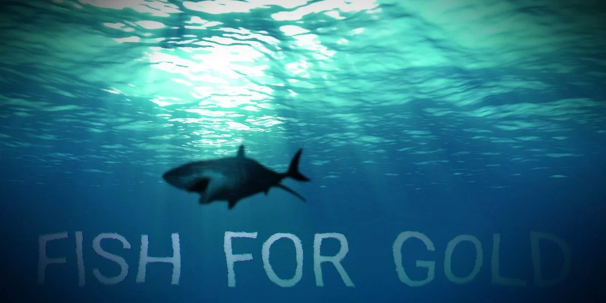 Изображение игры: Fish for gold