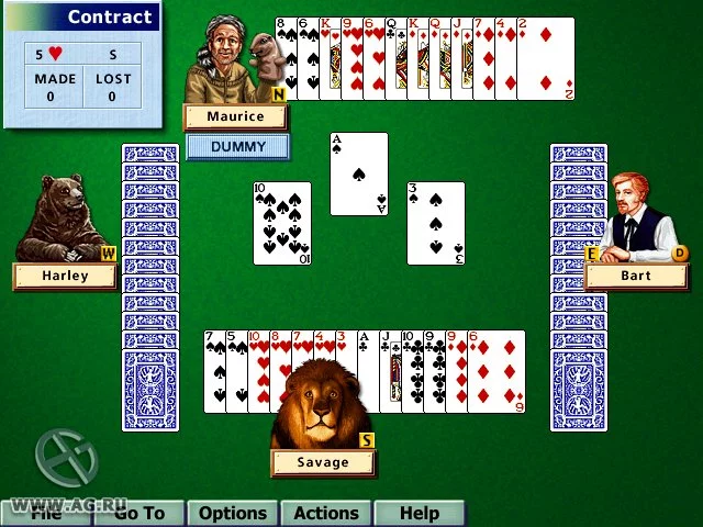 Изображение игры: Hoyle Card Games 5