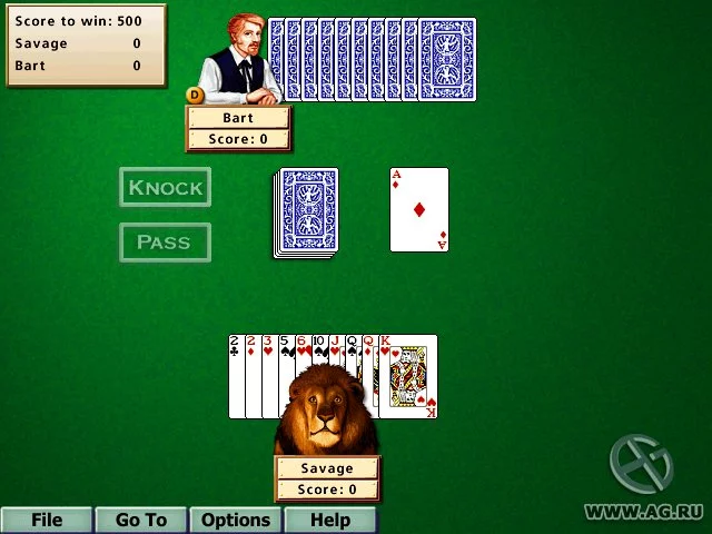 Изображение игры: Hoyle Card Games 5
