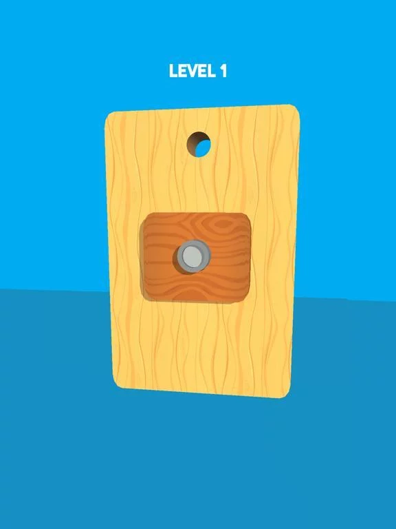 Изображение игры: Pin Board Puzzle