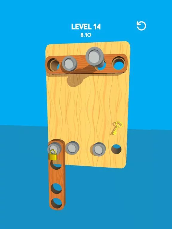 Изображение игры: Pin Board Puzzle
