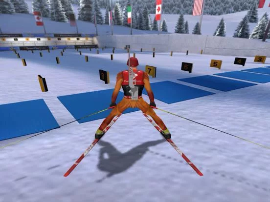 Изображение игры: Winter Sports Mania