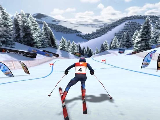 Изображение игры: Winter Sports Mania