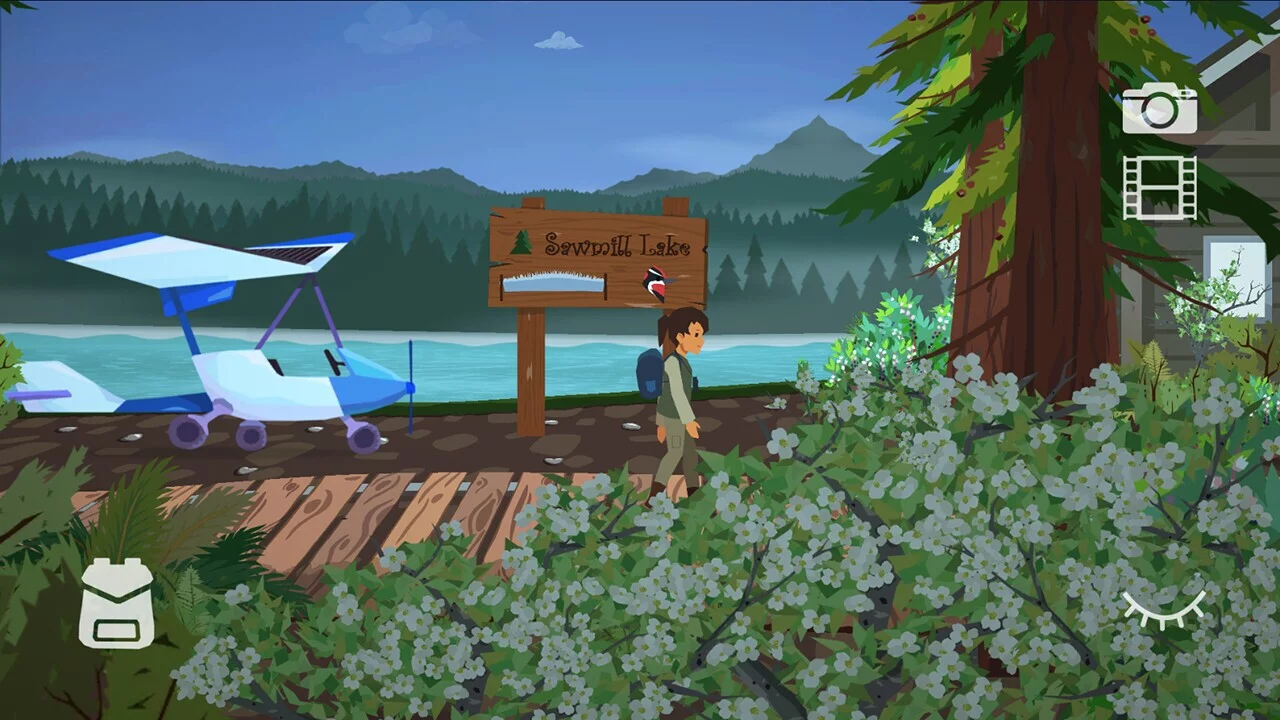 Изображение игры: Find the Birds