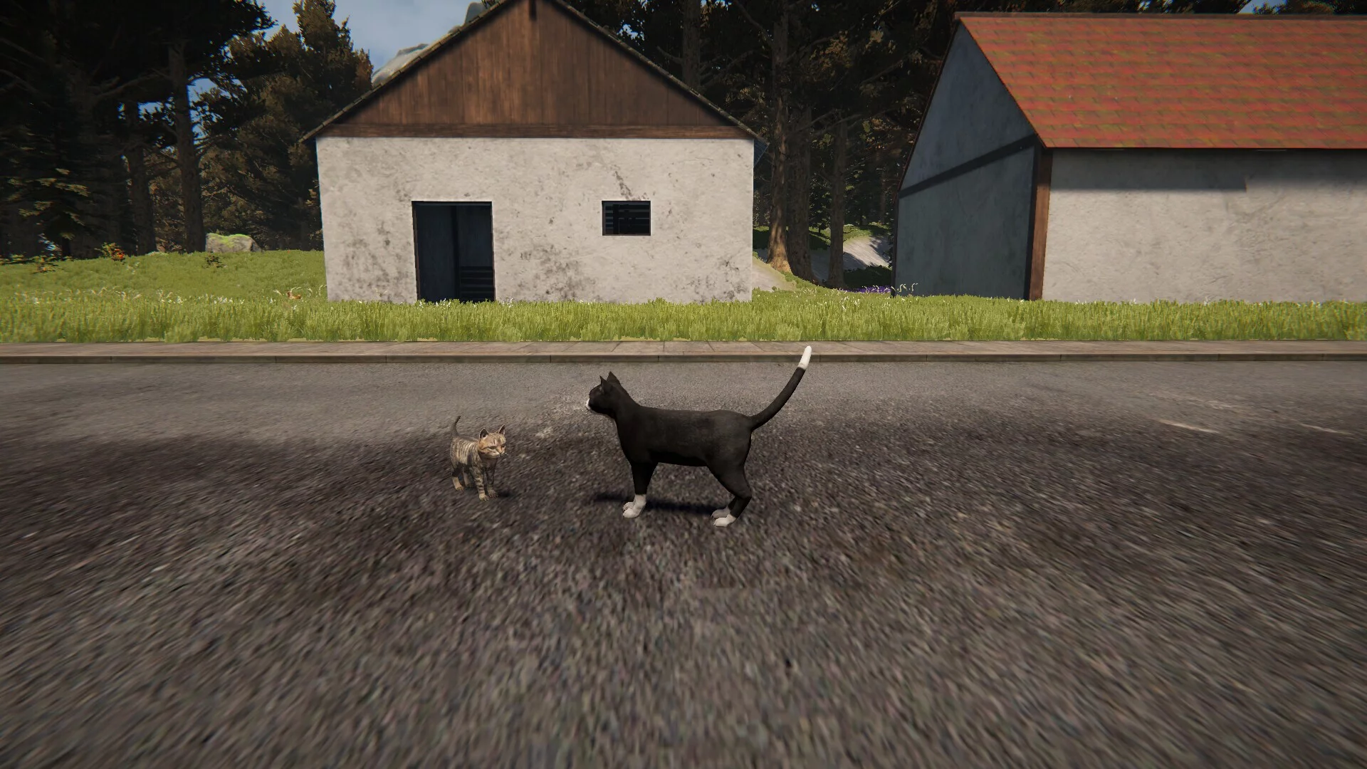 Изображение игры: Cat Life