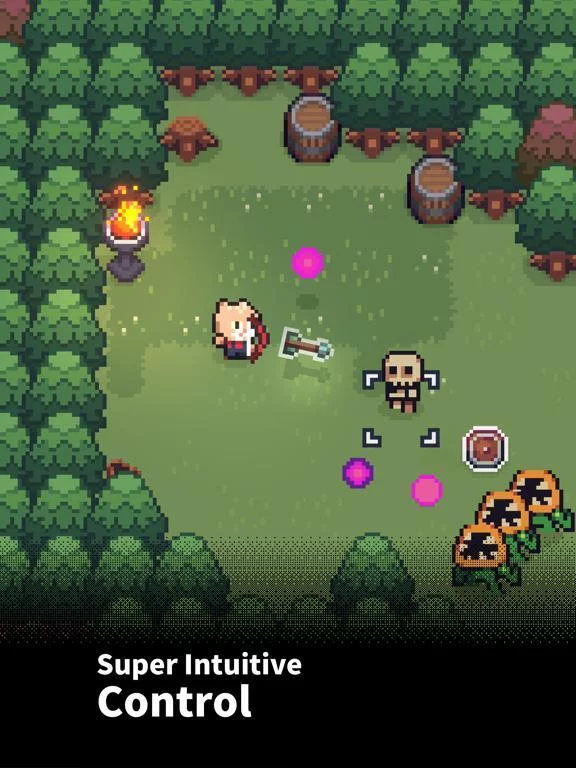 Изображение игры: The Way Home: Pixel Roguelike