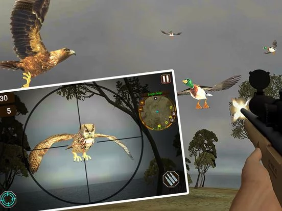Изображение игры: Island Bird Hunting: Shooter Survival