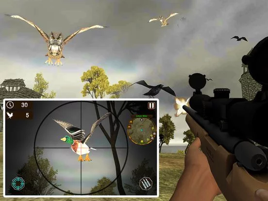 Изображение игры: Island Bird Hunting: Shooter Survival