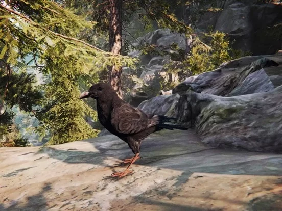 Изображение игры: Raven Crow Flight Simulator 3d