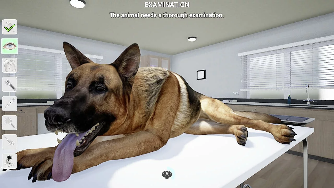 Изображение игры: My Life: Pet Vet
