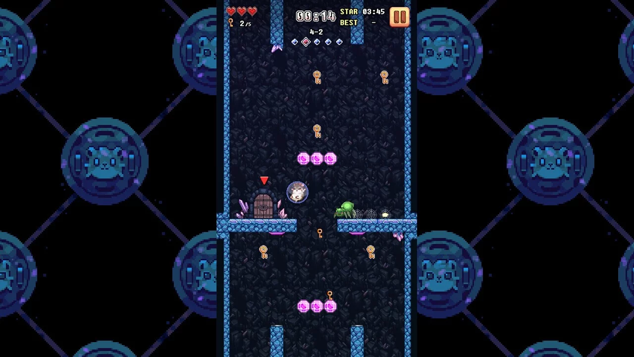Изображение игры: Super Hamster Ball
